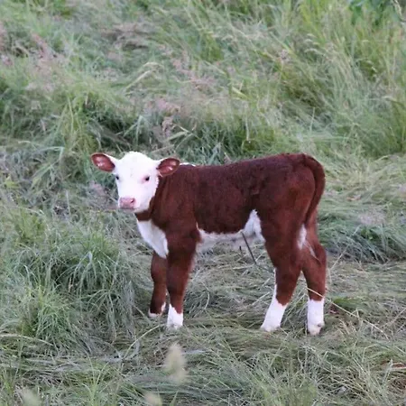 Casa vacanze Frauke Comfortable