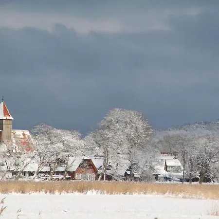 Frauke Comfortable Casa vacanze *